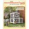 Outdoor Cat House, 2-Story Wooden Cat Shelter for 3 Outside Cats in Winter, Elevated Feral Kitty Shelter with Stairs, Clear Window & Flap Doors